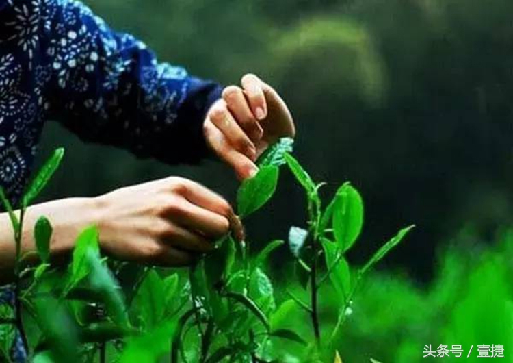 走春入夏时，养车这么做让你省钱又省心