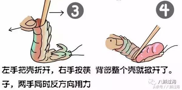 比手臂还粗的皮皮虾你吃过了吗,比手臂还大的皮皮虾吃起来超过瘾