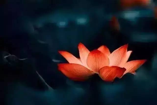 “有人想活活不了，有人想死死不了”｜我在ICU病房的日子