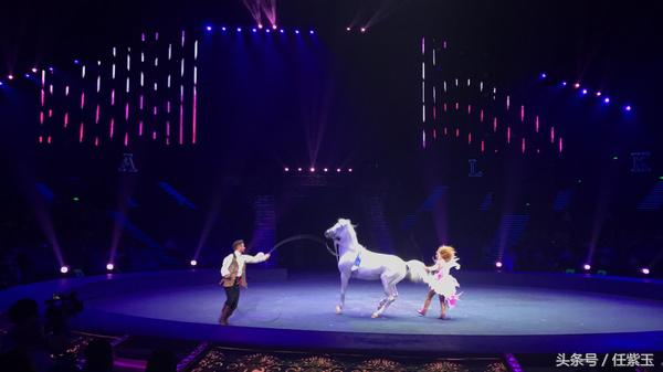 长隆海洋王国亲子游路线,一天游珠海长隆海洋王国亲子攻略