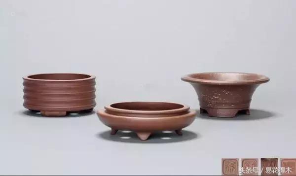 陶瓷花盆适合种什么花,仿瓷的花盆养花好吗