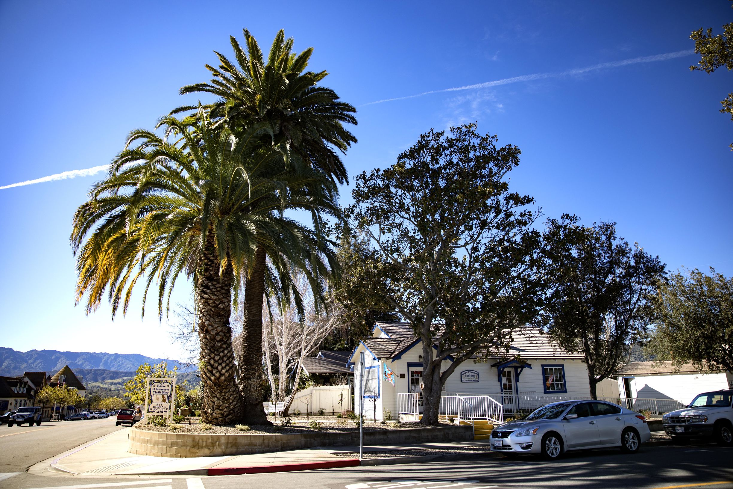 沐浴阳光下的田野,美国丹麦小镇索尔文
