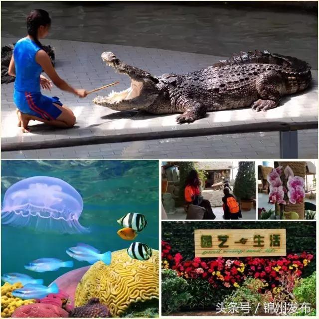 锦州世博园免费景区,锦州世博园其他入口