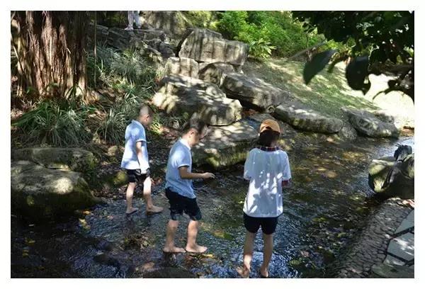 家长爆料:广外附小不适合书虫,更不适合想撒手不管的家长