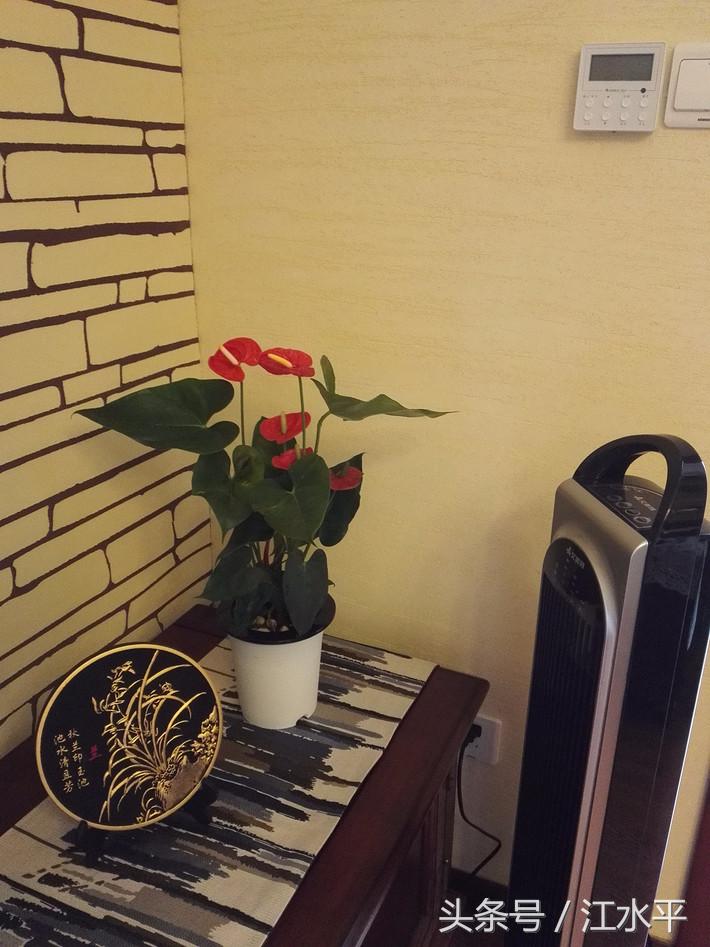 硅藻泥和硅藻泥漆哪个好,硅藻泥和硅藻泥涂料区别