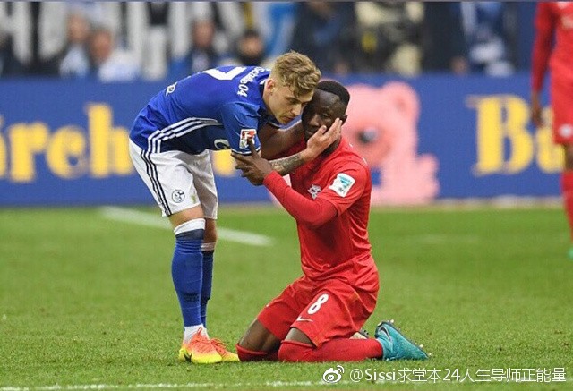 2019沙尔克04对弗赖堡,沙尔克04胜球