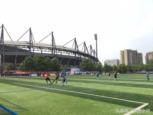 成甲决赛,成甲联赛金堂