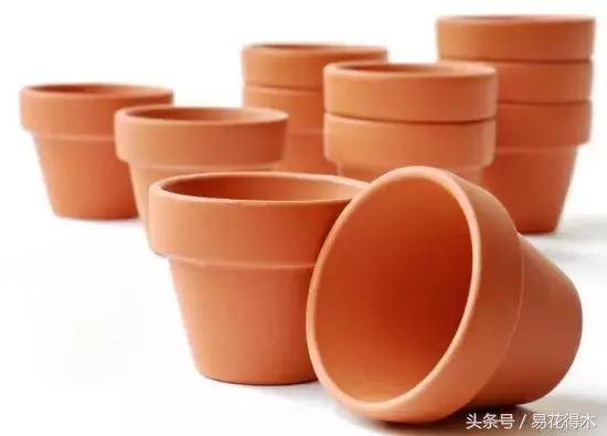陶瓷花盆适合种什么花,仿瓷的花盆养花好吗