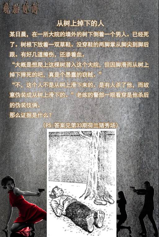 荷兰猪适宜的温度,荷兰猪夏天降温视频教学