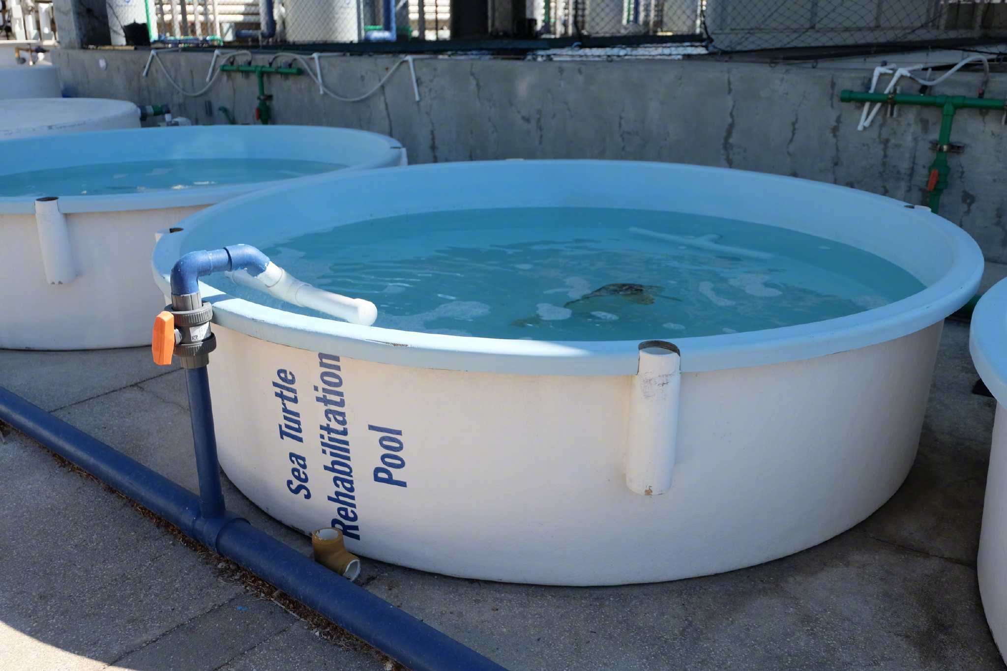 佛罗里达七日游攻略,佛罗里达5天旅游