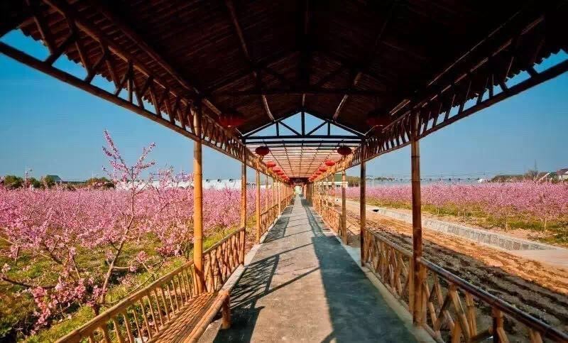 住金山区的感受,在金山居住的体验