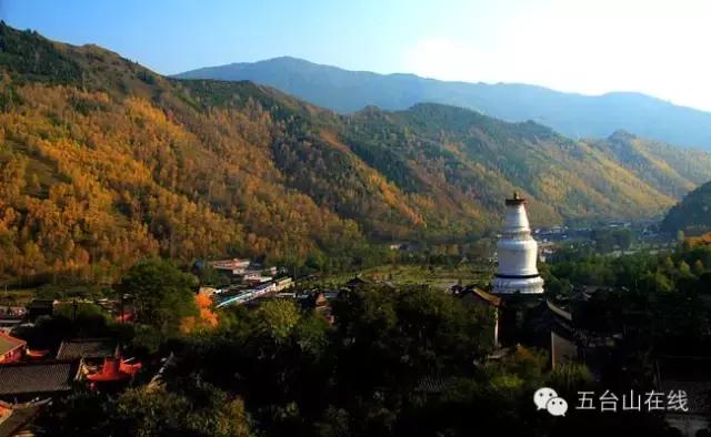 五台山佛国中心,五台山台怀镇营坊村后街佛国宾馆