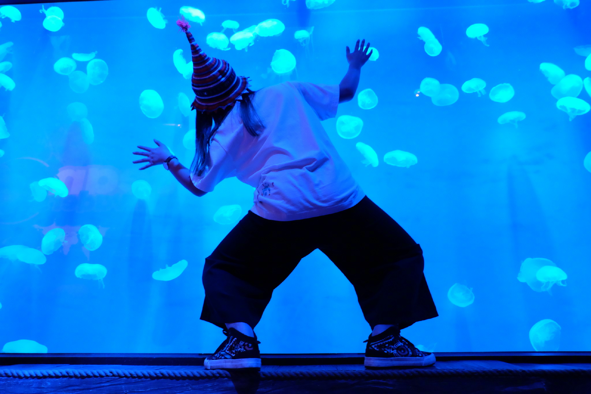 佛罗里达七日游攻略,佛罗里达5天旅游