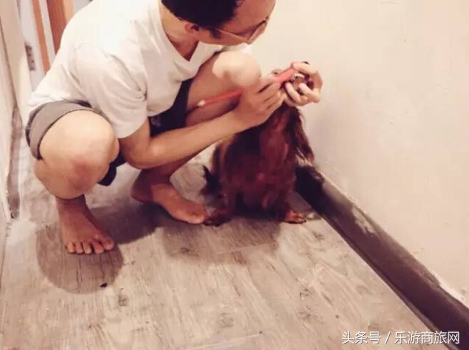 香港旅行攻略自由行购物,香港旅行攻略必去的地方推荐