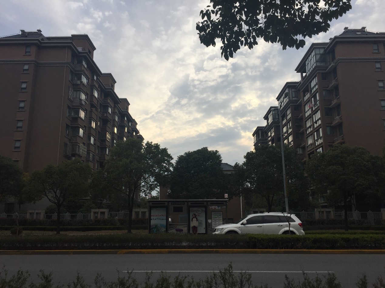 住金山区的感受,在金山居住的体验