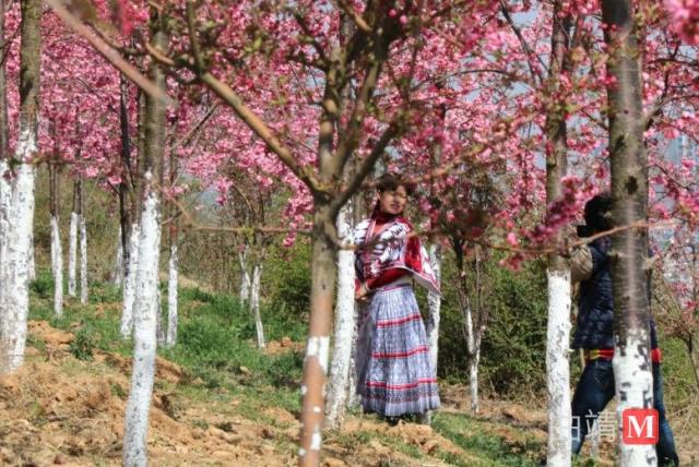 马龙森林氧吧,马龙周边都是山的公园