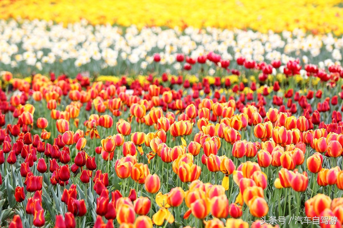 泾阳县城一日游,泾阳县一日游的绝佳去处