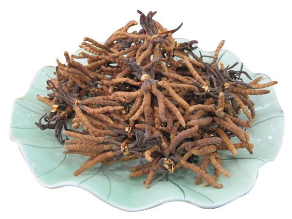 激素依赖性皮炎西药,激素依赖性皮炎怎么才能彻底治好