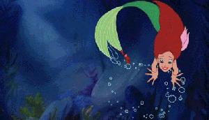 合肥哪些吃鱼不错的地方,合肥吃鱼的高档地方推荐