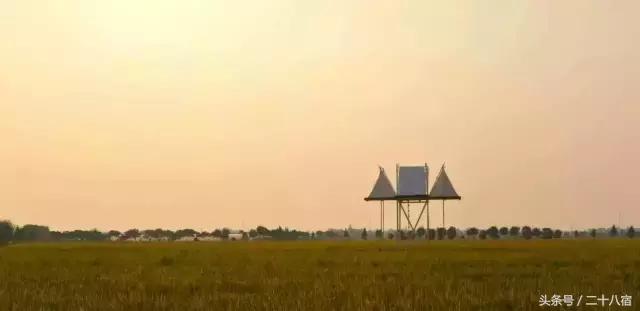 乡根东林渡,乡根东林渡露营