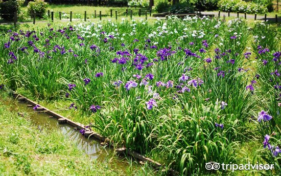 小长假最后一天去哪玩,小长假推荐人少的地方旅游