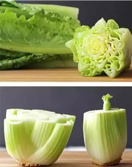 适合阳台种植的蔬菜有哪些特性,在家阳台怎么种蔬菜