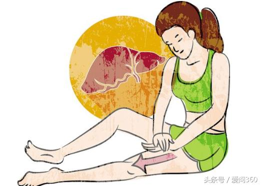 这几种中草药都是宝！养肝护肝少不了