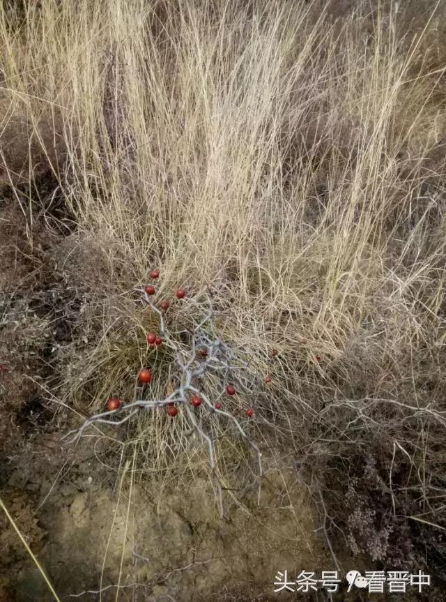 祁县三个村,祁县所有村名单