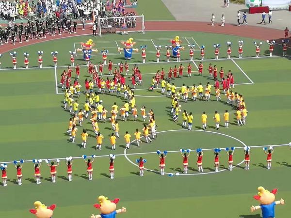 驰骋绿茵场足球争霸,驰骋足球赛场