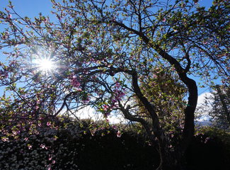 新西兰全景巴士，那些自驾游来不及知道的事儿（北岛+南岛超多公共交通实用信息各类购票详细教程InterCity）