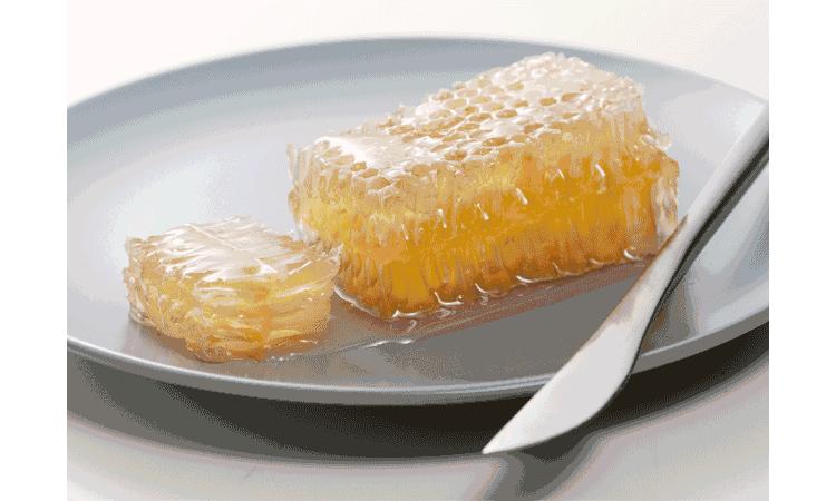 尝一口便是春天的味道,尝一口歌曲