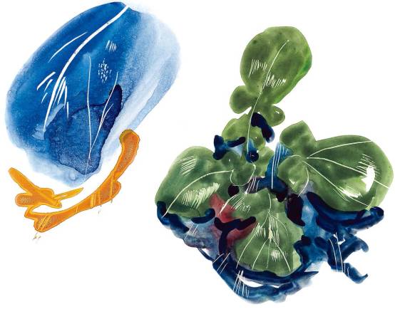 水彩画入门基础知识大全,水彩画水墨画有什么区别基础知识