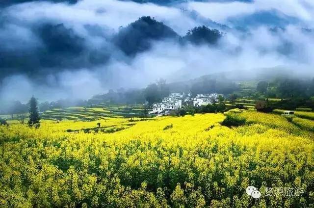 上海高铁到黄山4日游攻略,上海高铁到黄山旅行攻略