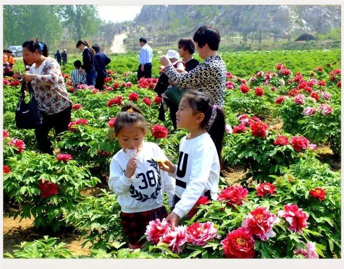 聊城市五一小长假去哪里玩,聊城五一假日攻略