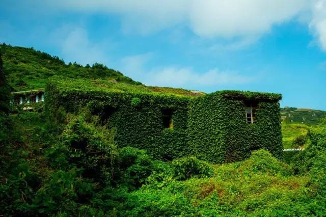 省下机票钱！杭州周边8个美到窒息的蔚蓝海岛，路费100+就能享受沙滩、海浪……完全不输国外！走起~