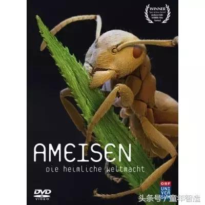 假期一定要带孩子看的5部纪录片,孩子必看的10部自然纪录片