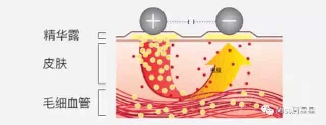 雅萌美容仪测评祛痘,雅萌美容仪哪一款能提拉紧致