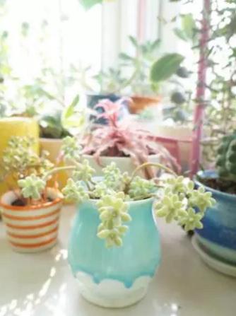 插上梦想的翅膀，天合租赁带你飞翔！