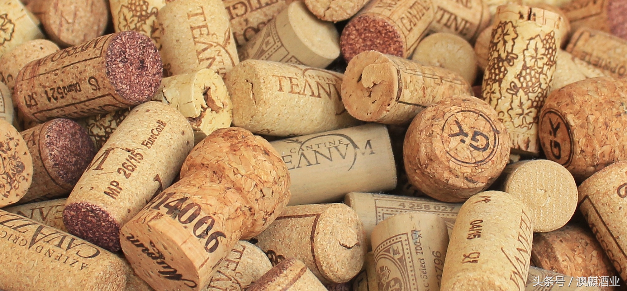 橡木塞内部发霉还能喝吗,橡木塞发霉了怎么办