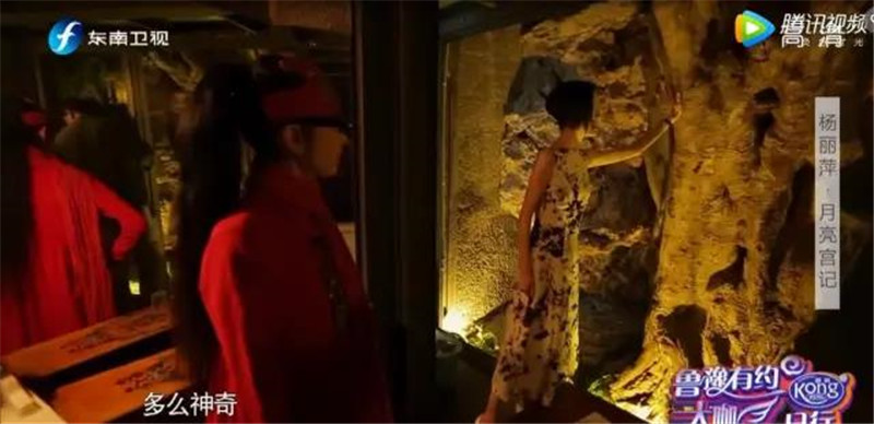 鲁豫和杨丽萍照片,美哭了新疆舞蹈