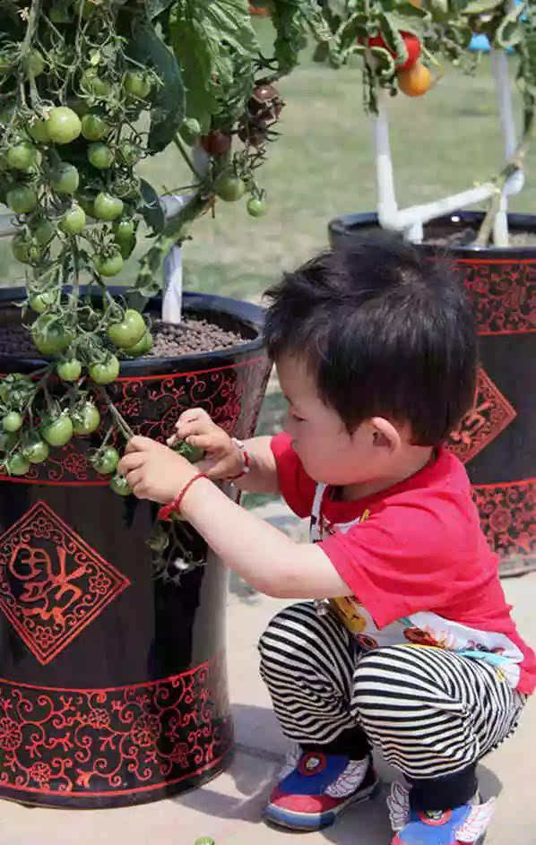 浙江五一旅游攻略亲子游,五一山东小众旅游亲子游