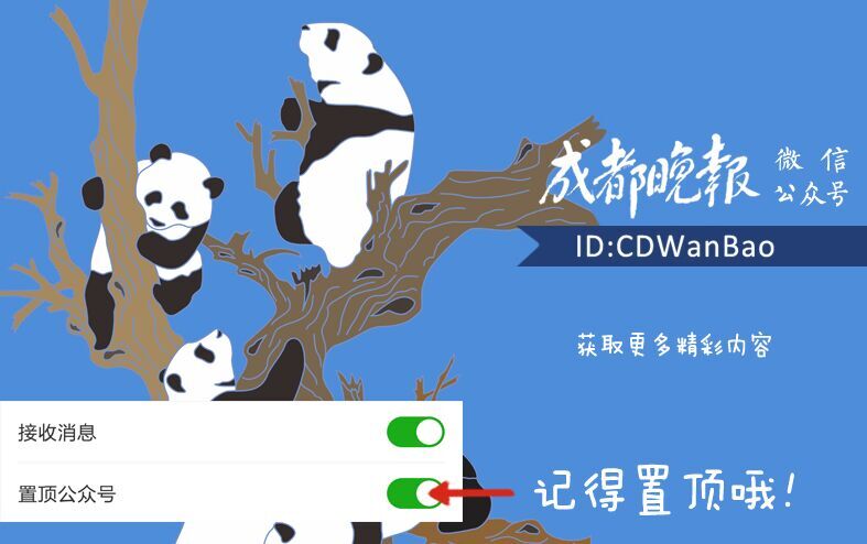 你们幼儿园举行大型活动要收费吗,幼儿园举办各种活动收费吗