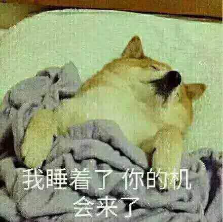 我的机器人女友游戏,我的机器人女友视频