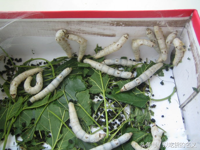 80后的我们重拾旧时光图片,80后怀念时光的图片