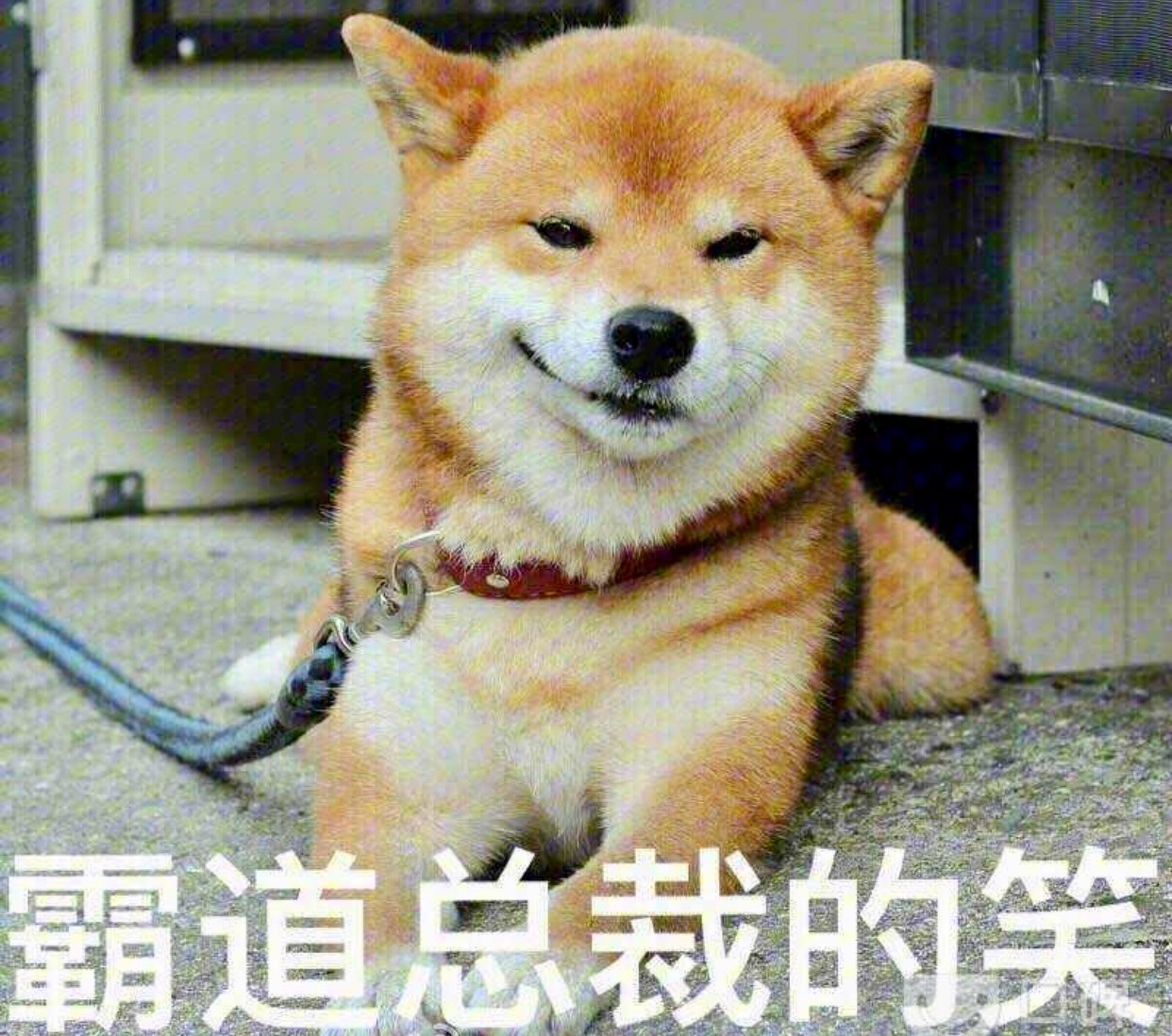 长春最实惠的牛排披萨自助餐厅，竟然可以免费吃？