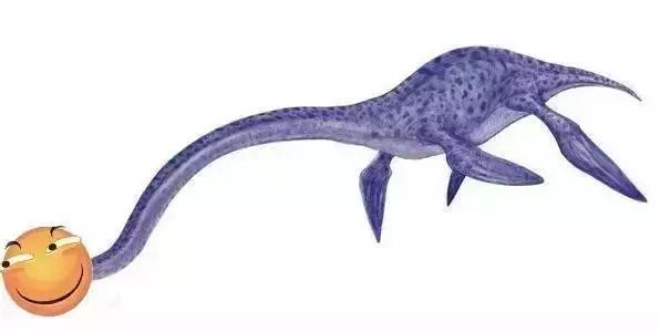 两富二代大量炸毁化石，开枪埋雷不惜破产，竟是为了*论发**文争名利