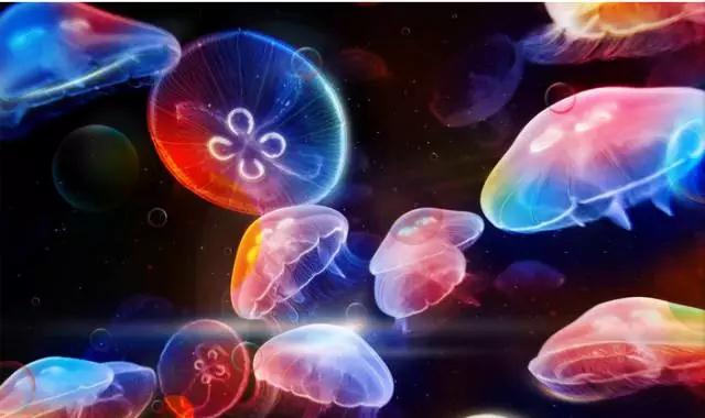 西南最大免费公园,西南片区最大公园