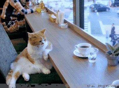 高颜值咖啡馆推荐,这家咖啡厅精致到每一处都是彩蛋