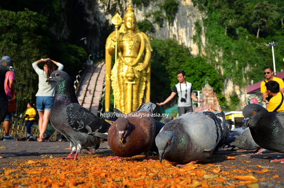 马来西亚的10个旅行理由，马来西亚旅游攻略图文