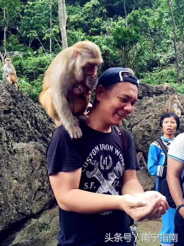 龙虎山最近发生了什么事件,广西南宁龙虎山事件真相视频